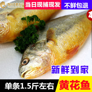 海鲜黄鱼头