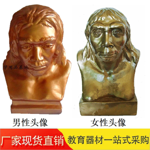 北京猿人头像 北京人头像初中历史人物摆件 历史模型 教学仪器