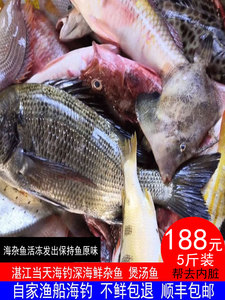 鲜活新鲜杂鱼深海湛江海鲜当天海钓宝宝孕妇营养食材5斤装煲汤鱼