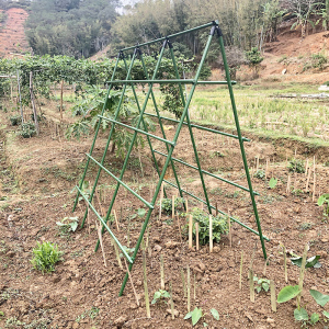 园艺爬藤支架种菜黄瓜丝瓜豇豆攀爬支架植物花支柱爬藤架子户外