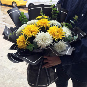 菊花鲜花基地直供直发云南花束水养家用散装一扎白黄10支祭拜清明