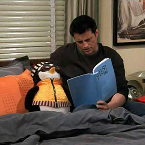 一枝红杏企业淘宝企鹅玩具毛绒公仔玩偶hugsy哈吉老友记friends周边