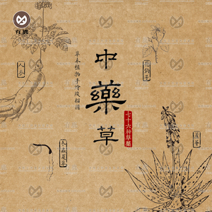 手绘中药材植物线稿插画插图片白描草本草药png矢量包装设计素材