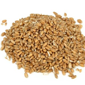 浮小麦 5斤包邮 浮小麦籽 瘪小麦 小麦子 中药材 500g克6元