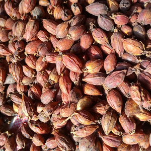 山枝子 拍2斤包邮 野生山栀子黄栀子红栀子粉中药材食用卤肉500g