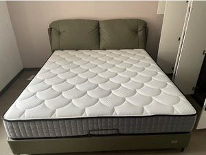 舒达床垫阳阳plus冠军辉煌犇腾巴塞罗那艾维逊摩纳哥专柜正品代购