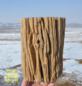 新疆戈壁沙漠胡杨原木摆件底座花架可做景观配饰加工笔筒花盆包邮