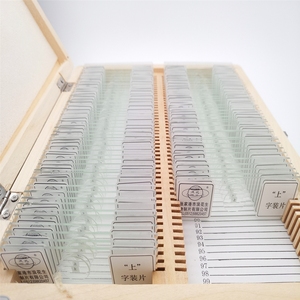 生物实验室永久切片装片人体四大组织神经/上皮/结缔/肌肉字母e 上字