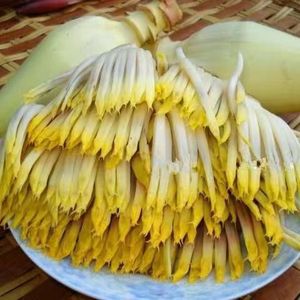 广西南宁野生芭蕉花新鲜9斤香蕉花蕾大蕉花酒店特色农家菜香蕉心