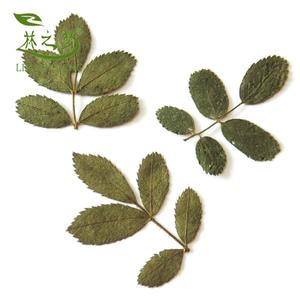 玫瑰花标本干花