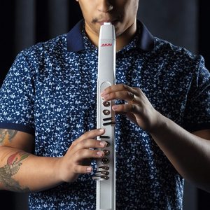 akai雅佳ewi5000电吹管海外西班牙直邮代购初学老年乐器电萨克斯