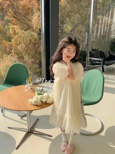 韩国童装女童高级感网纱公主裙泡泡袖超美连衣裙儿童气质梦幻裙子
