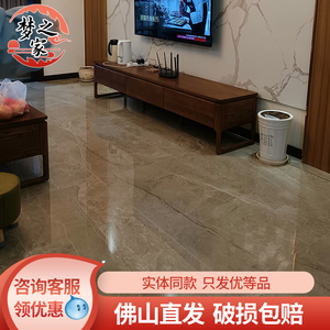 东鹏空气净化砖闪电灰fga278565/998565/998567通体客餐厅地砖