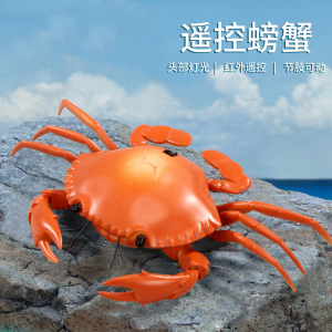 儿童遥控螃蟹玩具会爬走益智仿真动物模型网红生日礼物六一男女孩