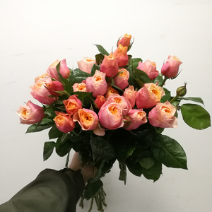 粉色蝴蝶泡泡 多头奥斯汀玫瑰 生日礼物婚礼家居办公室混搭插花