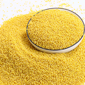 大黄米 黍米粘小米煮稀饭包粽子做米酒做粘糕用的黄米粘小米包邮