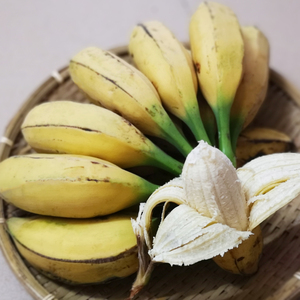 【特大果5斤】茂名大芭蕉 新鲜香蕉 水果牛角蕉现采现发1斤约3条