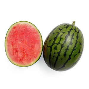 早春红玉西瓜新鲜