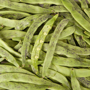 溪味道辽宁大马掌油豆角5斤东北新鲜油豆角麻掌紫花油豆角