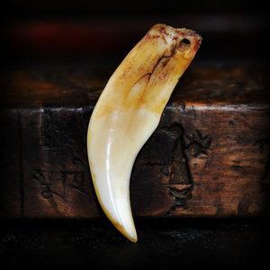 西藏藏传稀有老野兽牙齿护身项链坠佛珠手链项链配件配饰藏传古玩