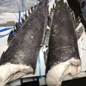 法国进口深海冷冻银鳕鱼整条排原装 雪鱼4kg南极犬牙鱼婴幼儿辅食