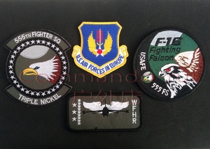 美国空军 第555战斗机中队/555th fighter sq f-16 战隼徽章