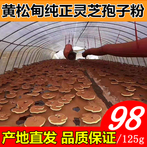 黄松甸灵芝孢子粉125g长白山正宗头道粉自产自销纯粉无添加