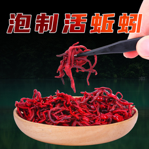 冬季红虫蚯蚓活饵垂钓鱼饵料鲫鱼鲤鱼野钓黑坑鱼料打窝料鱼食通杀