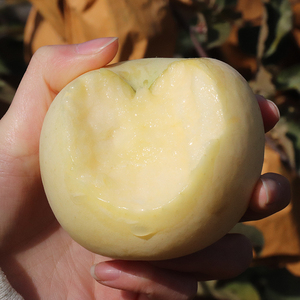 烟台栖霞黄金奶油富士牛奶苹果应季水果新鲜脆甜整箱5斤10农产品