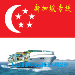 新加坡海运拼箱中国到新加坡海运家具整柜海运新加坡双清到门