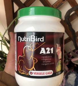 原装正品800克比利时凡赛尔鹦鹉奶粉鸟奶粉a21玄凤虎皮牡丹雏鸟