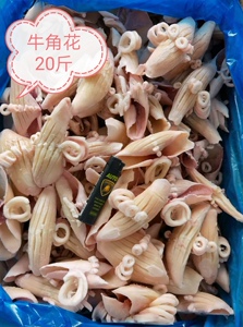 新鲜冰鲜冰冻冷冻速冻烧烤鱿鱼牛角花鱿鱼耳20斤 批218元/箱