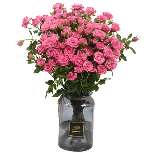b级粉红女郎玫瑰花多头小玫瑰泡泡斗南花市云南直发昆明直批基地