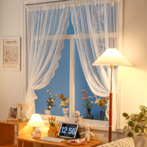 透光蕾丝白色薄纱窗帘 客厅宿舍飘窗网红ins风透明提花纱帘布成品