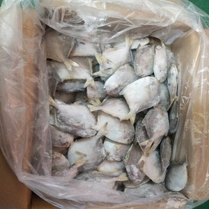 冷冻新鲜小鲳鱼鲳鳊鱼小白鲳整箱6斤50-60条条江浙沪皖包邮