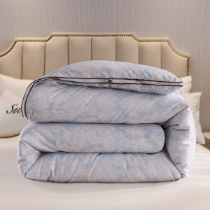 春秋被被子双人家用拉链子母被冬季加厚保暖冬被垫背褥子被芯2条