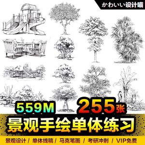 园林景观单体植物手绘速写树木花草小景钢笔画马克笔临摹图片素材