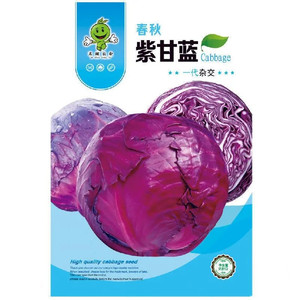 原厂彩包紫甘蓝种子卷心菜包菜阳台庭院大田四季种植农家蔬菜种籽