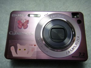 索尼w120