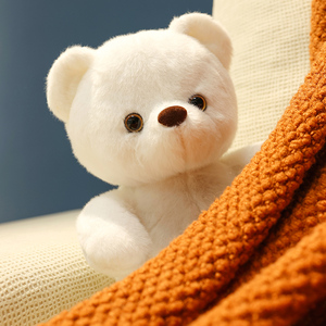 可爱治愈系小熊玩偶公仔熊娃娃熊熊毛绒玩具生日礼物女孩送女朋友