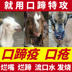 猪牛羊口蹄康疫苗兽专用药重症烂嘴烂腐蹄腔溃疡药疮孕畜可用包邮