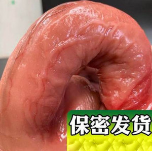 假鸡机超大