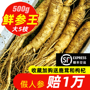 人参鲜人参泡酒林下参长白山野山参白参新鲜西洋参人参鲜山参人参