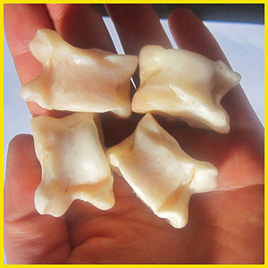 真羊嘎拉哈 1粒 羊拐骨 髀石嘎啦哈旮旯哈羊骨头子怀旧玩具