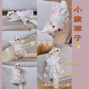 定制小蜜袋鼯手工小衣服仓鼠金丝熊服装用品婚纱服饰拍照个性裙子
