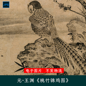 元代王渊《桃竹锦鸡图》水墨画花鸟工笔画宝贵吉祥高清电子图片