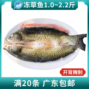 冷冻腌制草鱼新鲜皖鱼冻草鱼半成品烤鱼店专用开背草鱼 20条包邮
