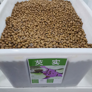 芡实种子鸡头米池塘果种籽