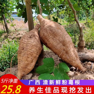 粉葛新鲜葛根现挖无渣5斤野包邮正宗广西葛薯广东煲汤解酒生吃柴