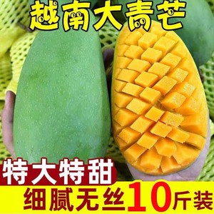 芒果新鲜10斤越南大青芒特大水果生鲜整箱金煌应季当季青芒果鲜果
